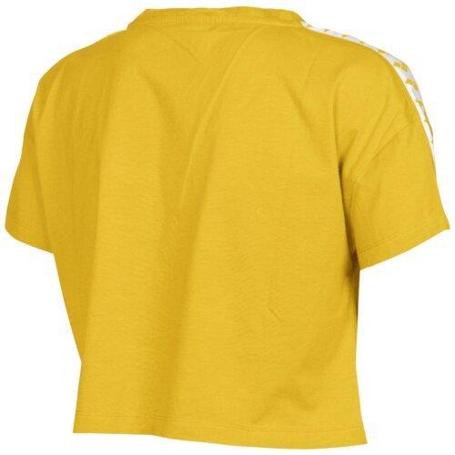 product/a/r/arena_001226-351_lily-yellow-white-lily-yel_2.jpg