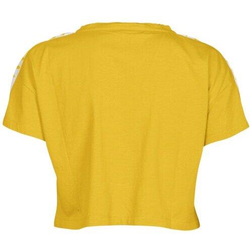 product/a/r/arena_001226-351_lily-yellow-white-lily-yel_4.jpg