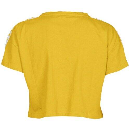 product/a/r/arena_001226-351_lily-yellow-white-lily-yel_8.jpg