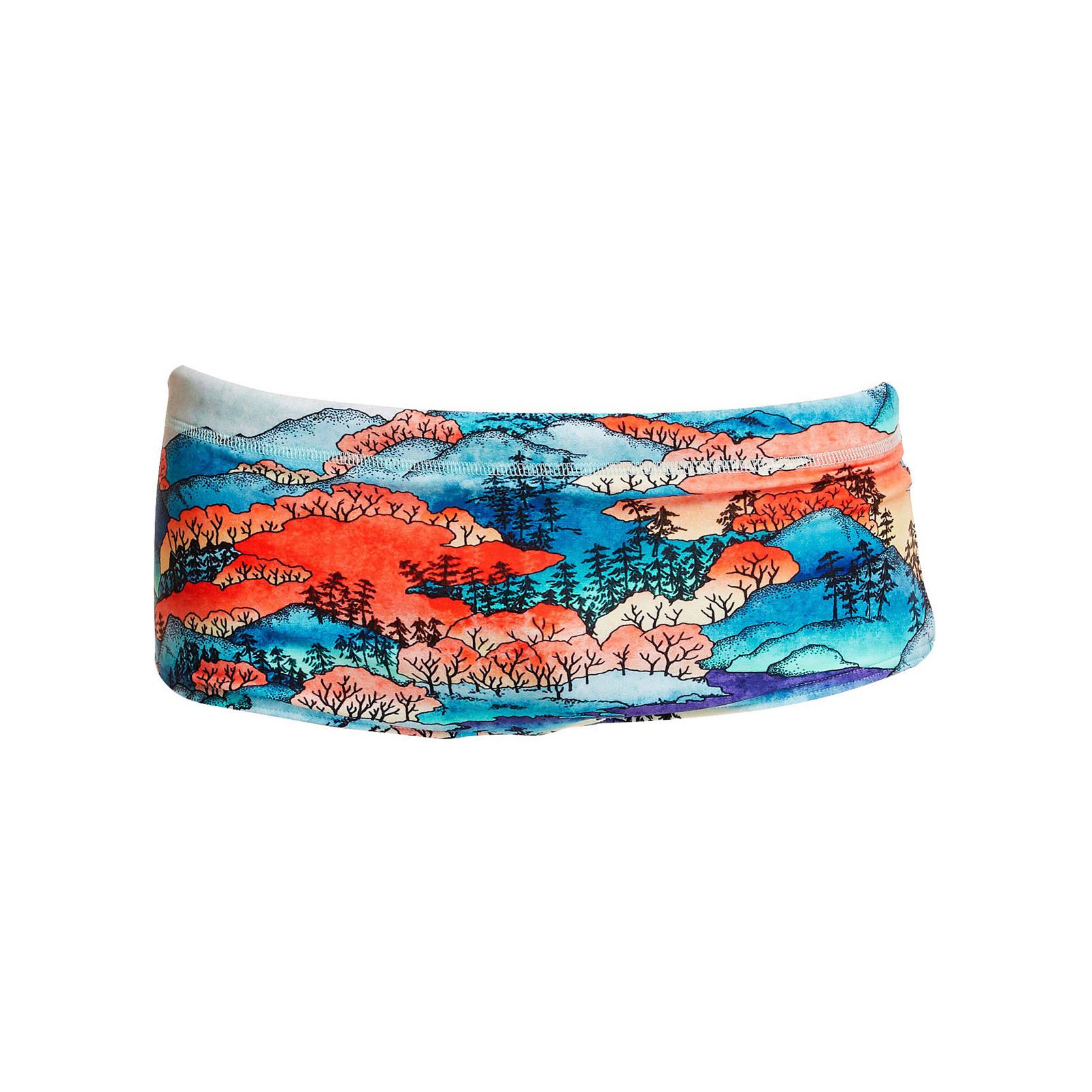 product/f/u/funky-trunks_ft32b02661_1.jpg
