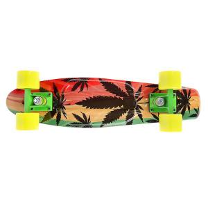 16-45-296-skateboard-abisal-art-reggae-signa-vert-56x14-cm