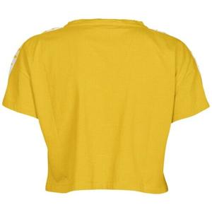 product/a/r/arena_001226-351_lily-yellow-white-lily-yel_4.jpg