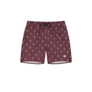 3110-18-short-de-bain-barts-bernardou-prune