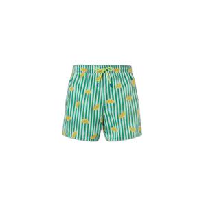 673720-c007-short-de-bain-imprime-north-sails-basic-volley-combo-7