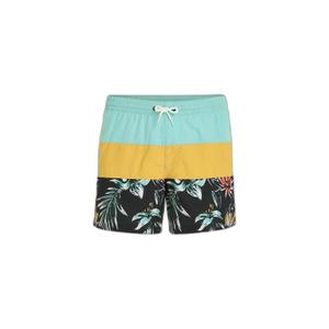 2800132-12022-short-de-bain-o-neill-mix-match-cali-block-15-golden-haze