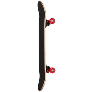 product/p/l/playlife_37896-880323_2.jpg