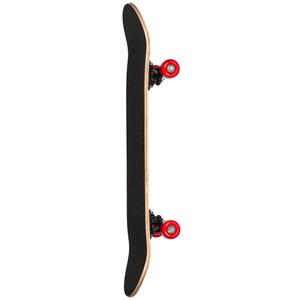 product/p/l/playlife_37898-880325_2.jpg